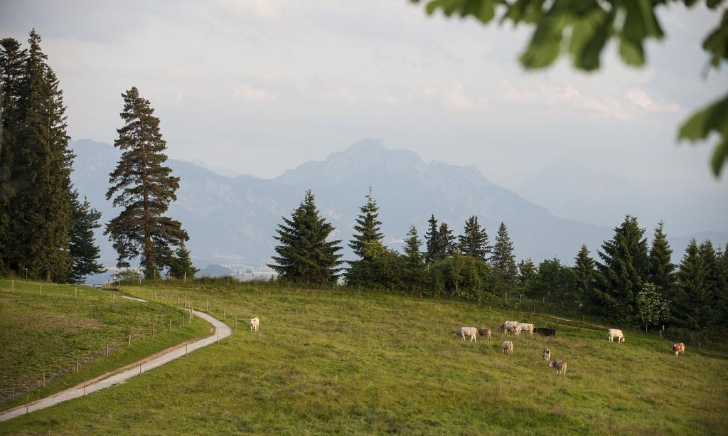 Panoramagasthof Auf Dem Auerberg Bernbeuren Екстериор снимка